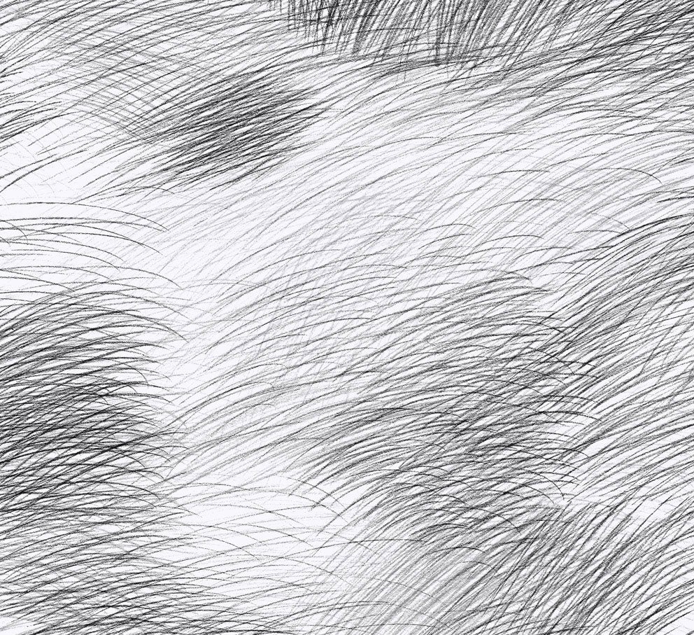 Midbec Tapeter - Lepo Marimekko 6