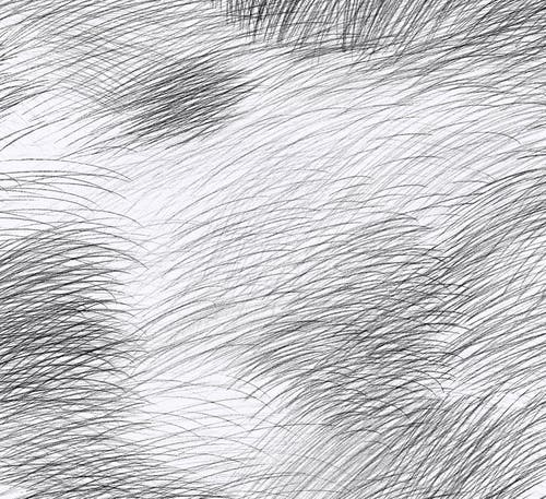 Midbec Tapeter - Lepo Marimekko 6