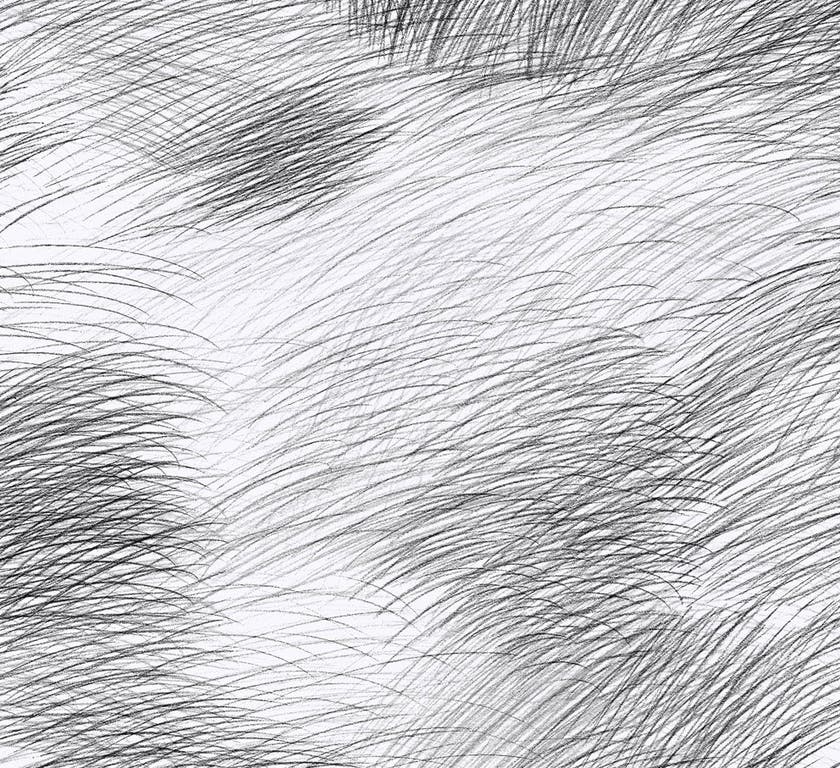 Midbec Tapeter - Lepo Marimekko 6