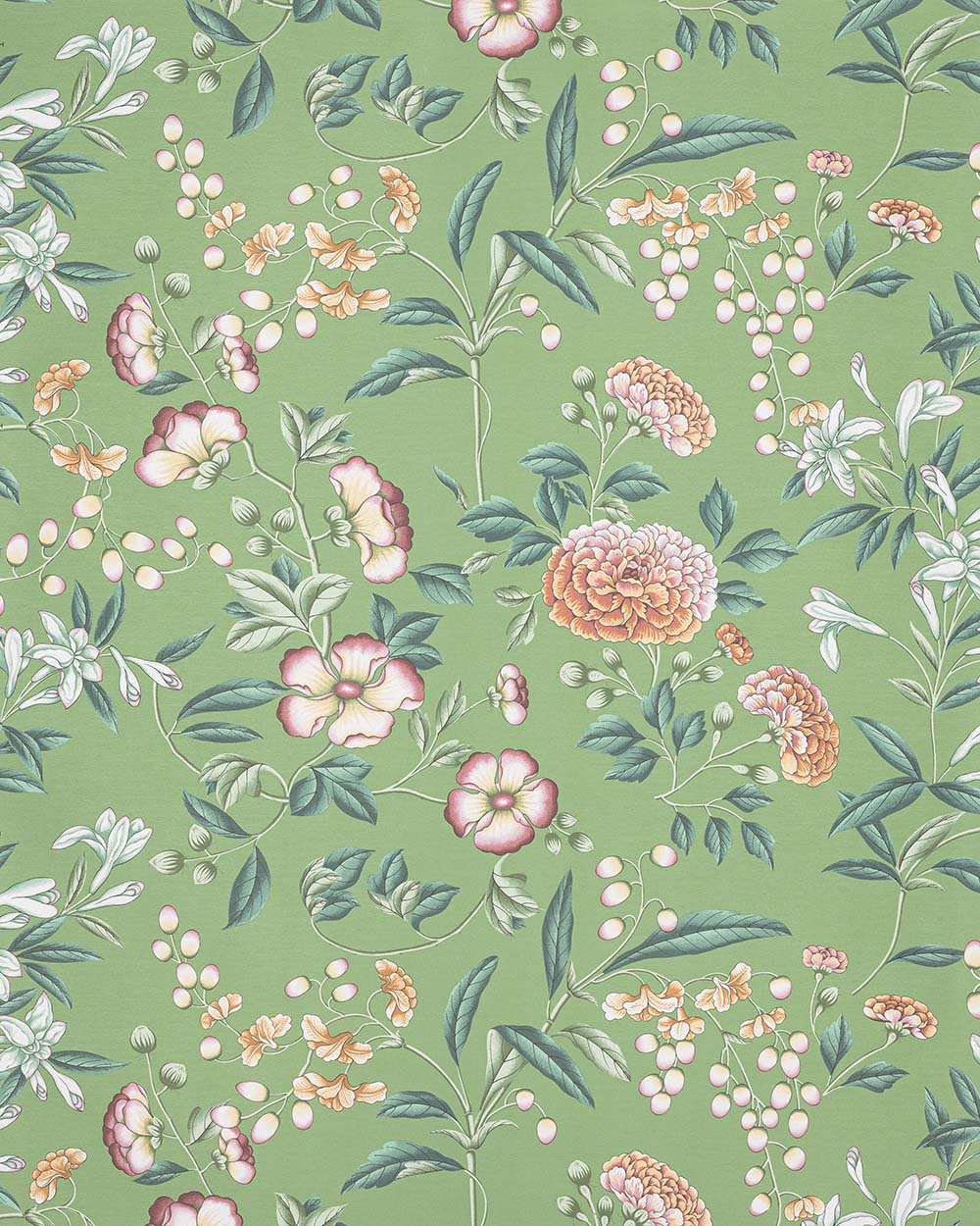 Manuel Canovas - Coromandel WC Prairie