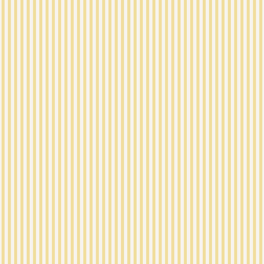 Shirt Stripe