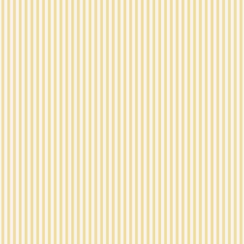 Shirt Stripe
