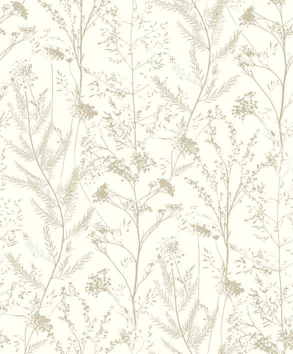 PRAIRIE LIN SENTIER DES DUNES