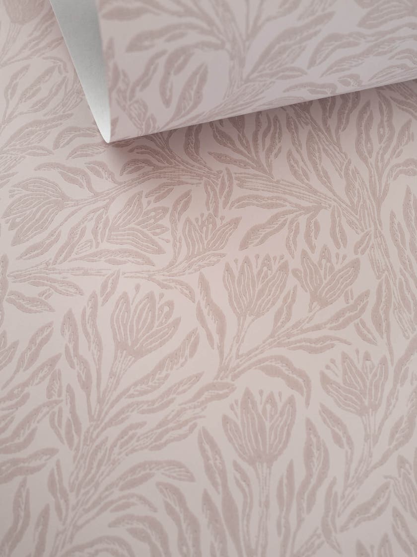 Krokus Northern Rose Norrviva