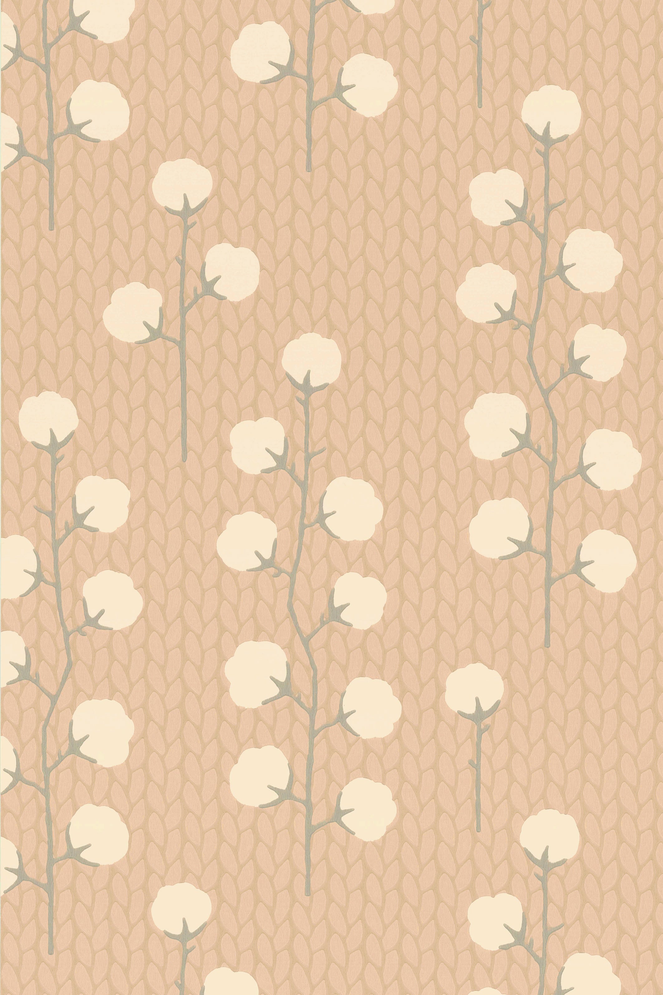 Majvillan - Sweet Cotton Desert rose