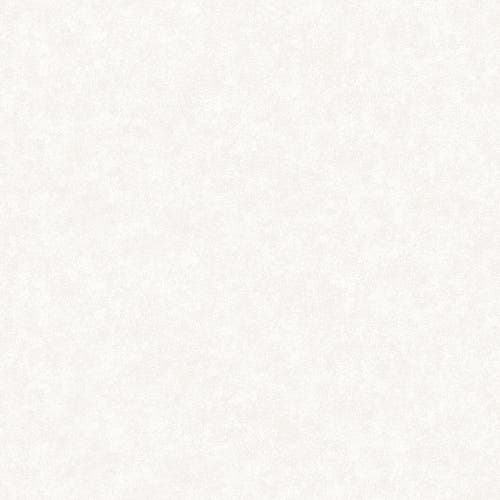 Fiona - Concrete