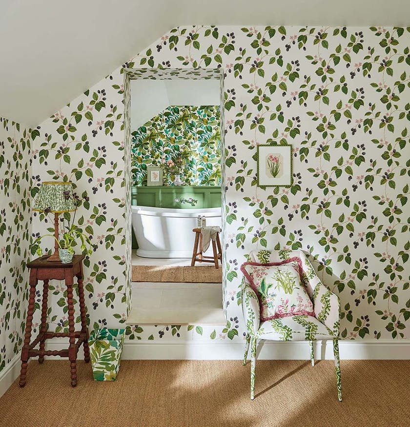 Sanderson - Rubus Blackberry Arboretum Wallpapers