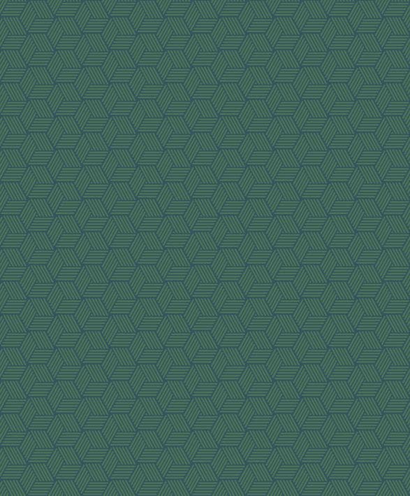 CONNEXIONS VERT CANOPEE ALCHIMIE CAD