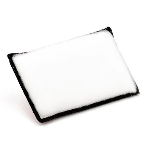 Renngöringssvamp RW