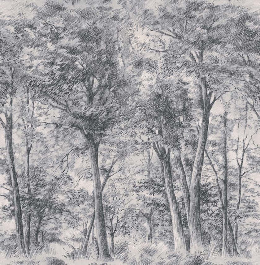 Boråstapeter - Sketch of Trees