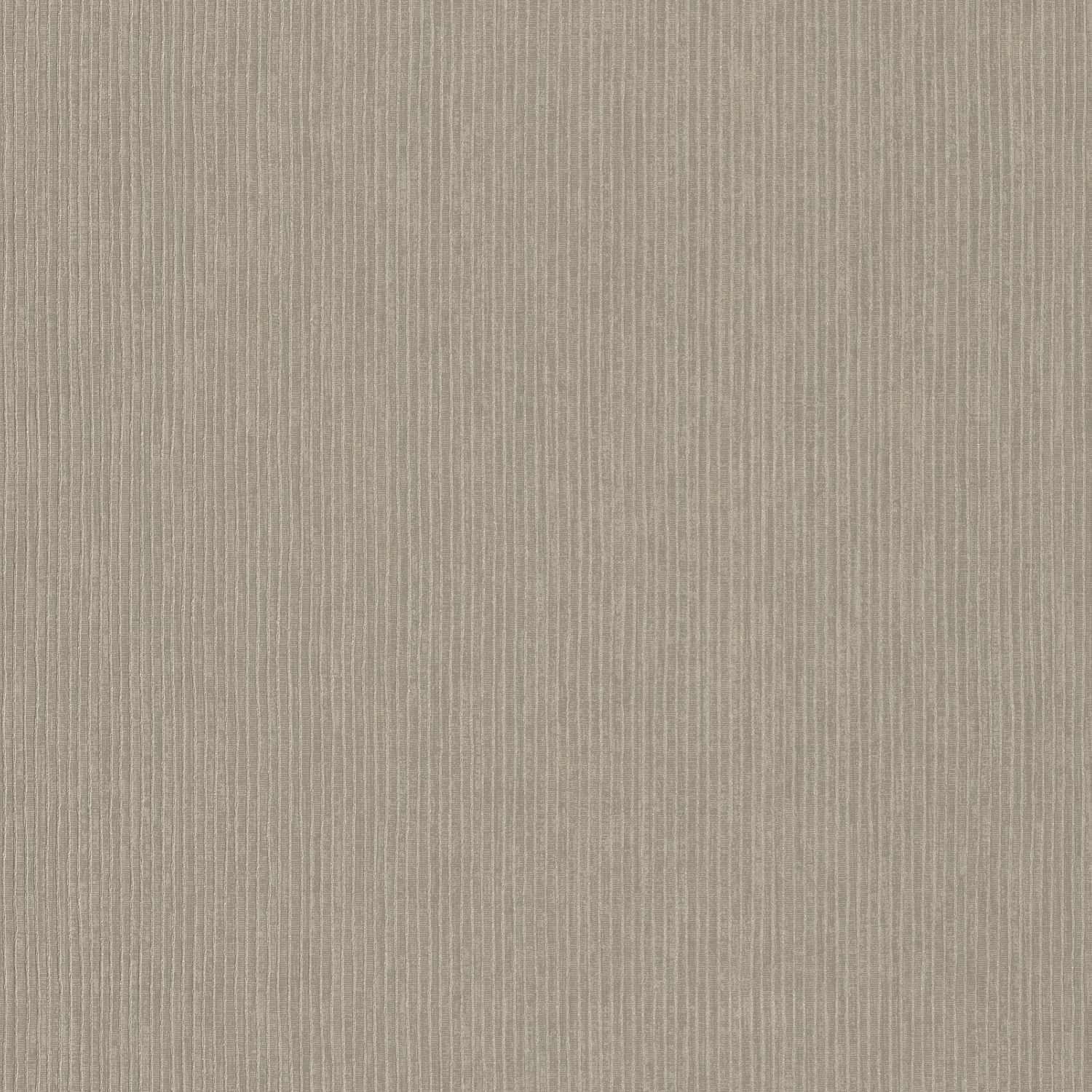 Casamance - Sulpice Mordore Printemps Viennois