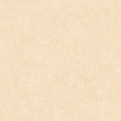 Caselio - Beton Uni Ivoire Beton 2