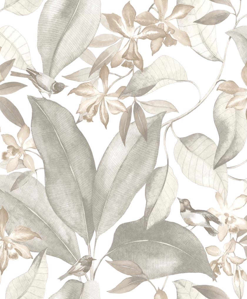 Casadeco - Delicacy Birdsong Taupe / Delicacy