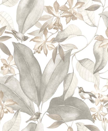 Casadeco - Delicacy Birdsong Taupe / Delicacy