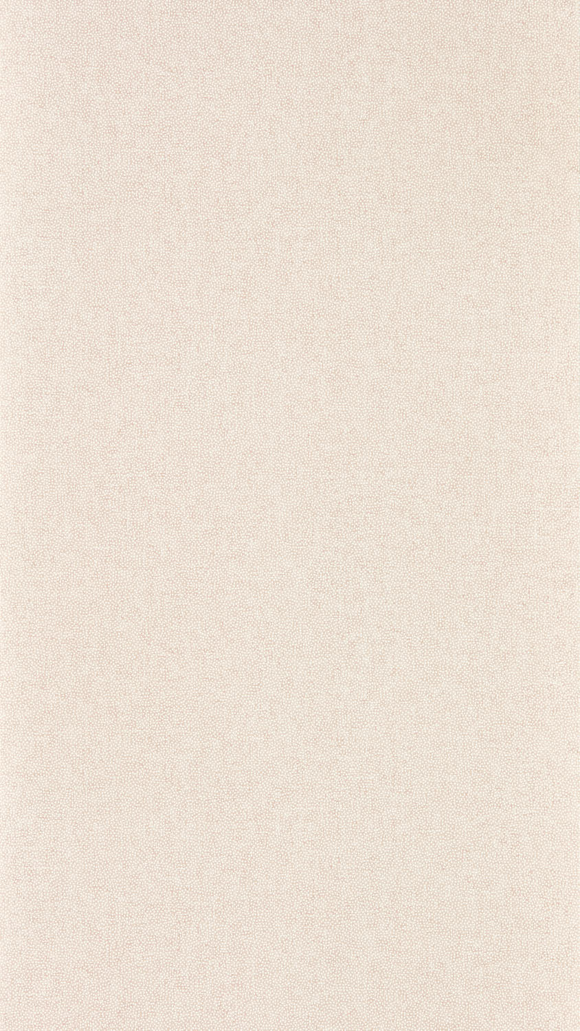 Sanderson - Sessile Plain Wild Rose Arboretum Wallpapers