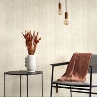 BETON BEIGE GRES SO COLOR 5