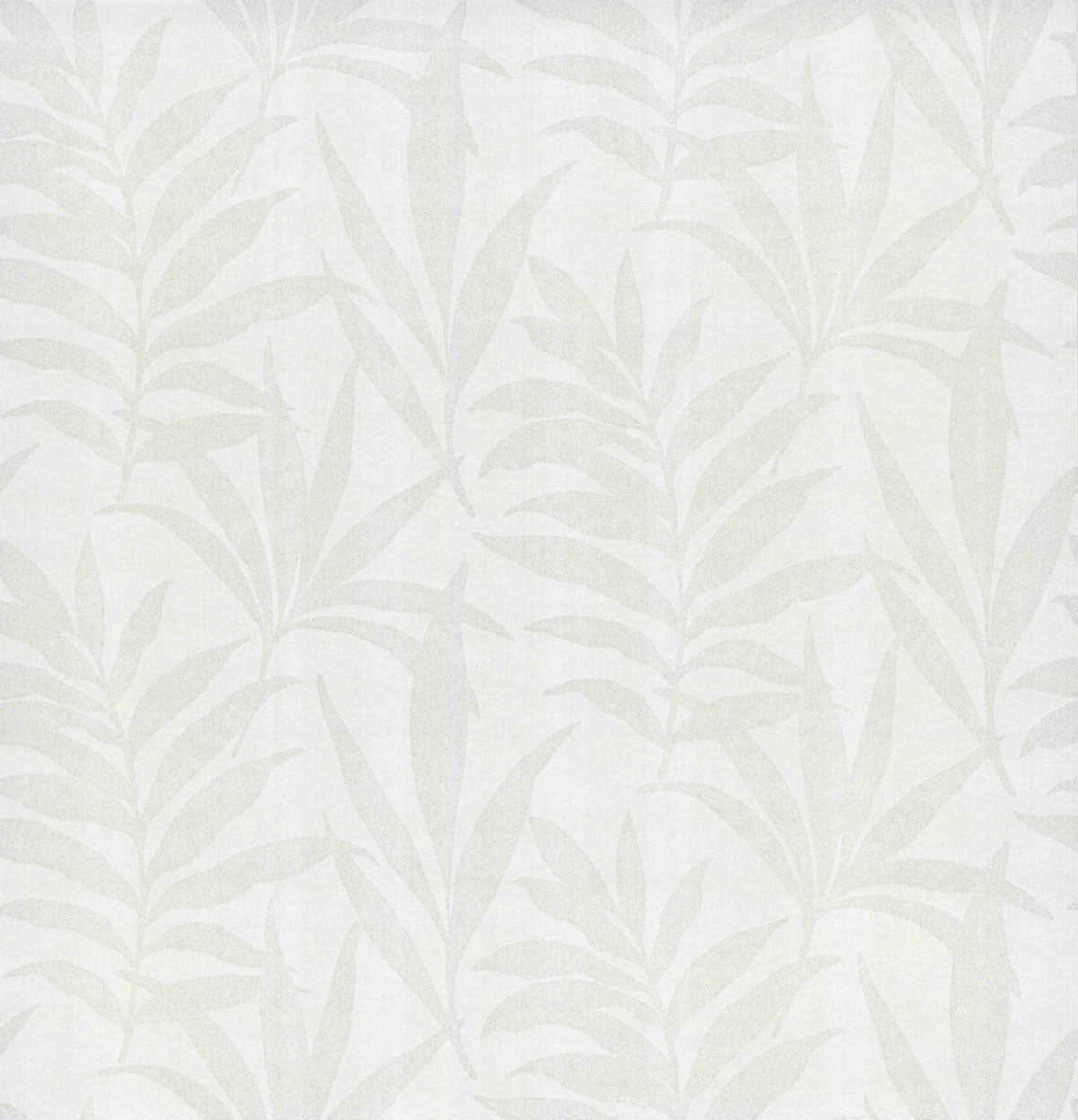 Carma - Verdi flock NW Camellia