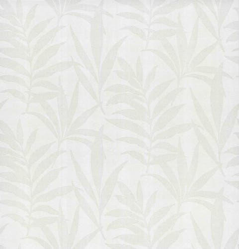 Carma - Verdi flock NW Camellia