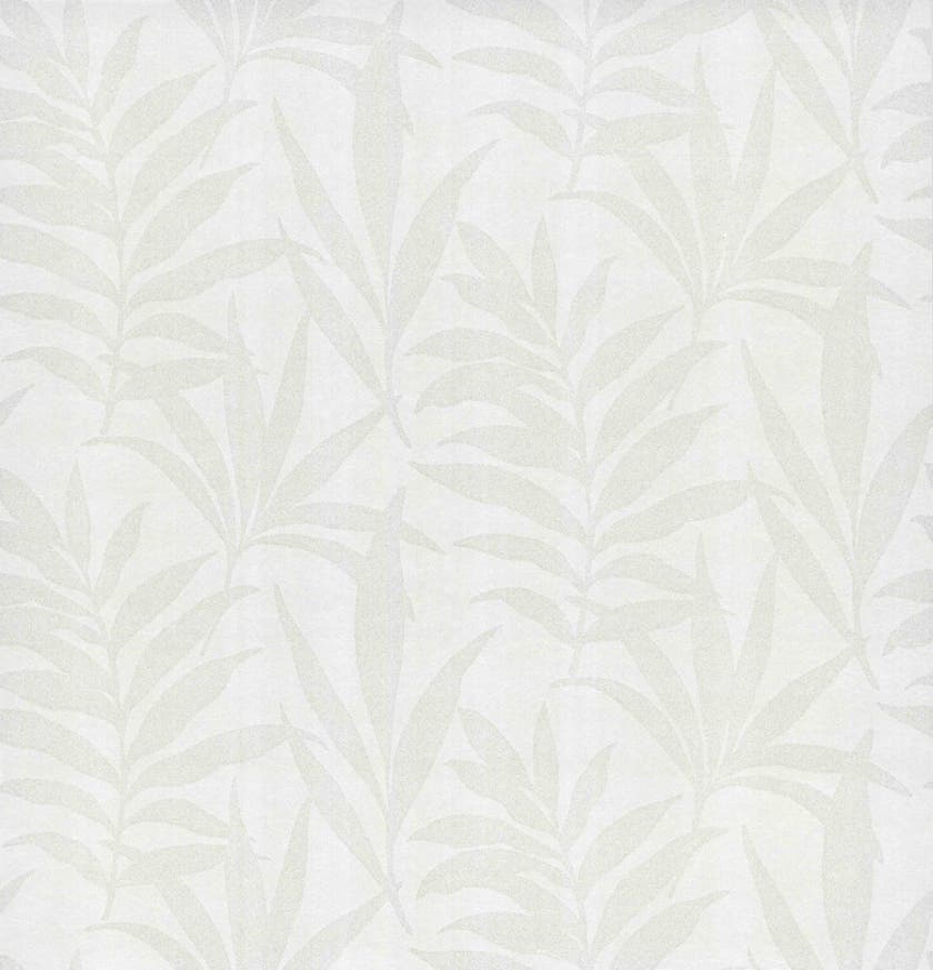 Carma - Verdi flock NW Camellia