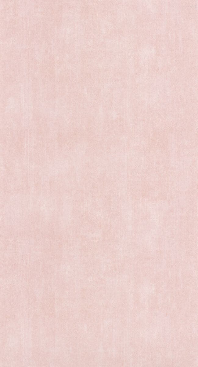 DELICACY UNI NUDE DELICACY