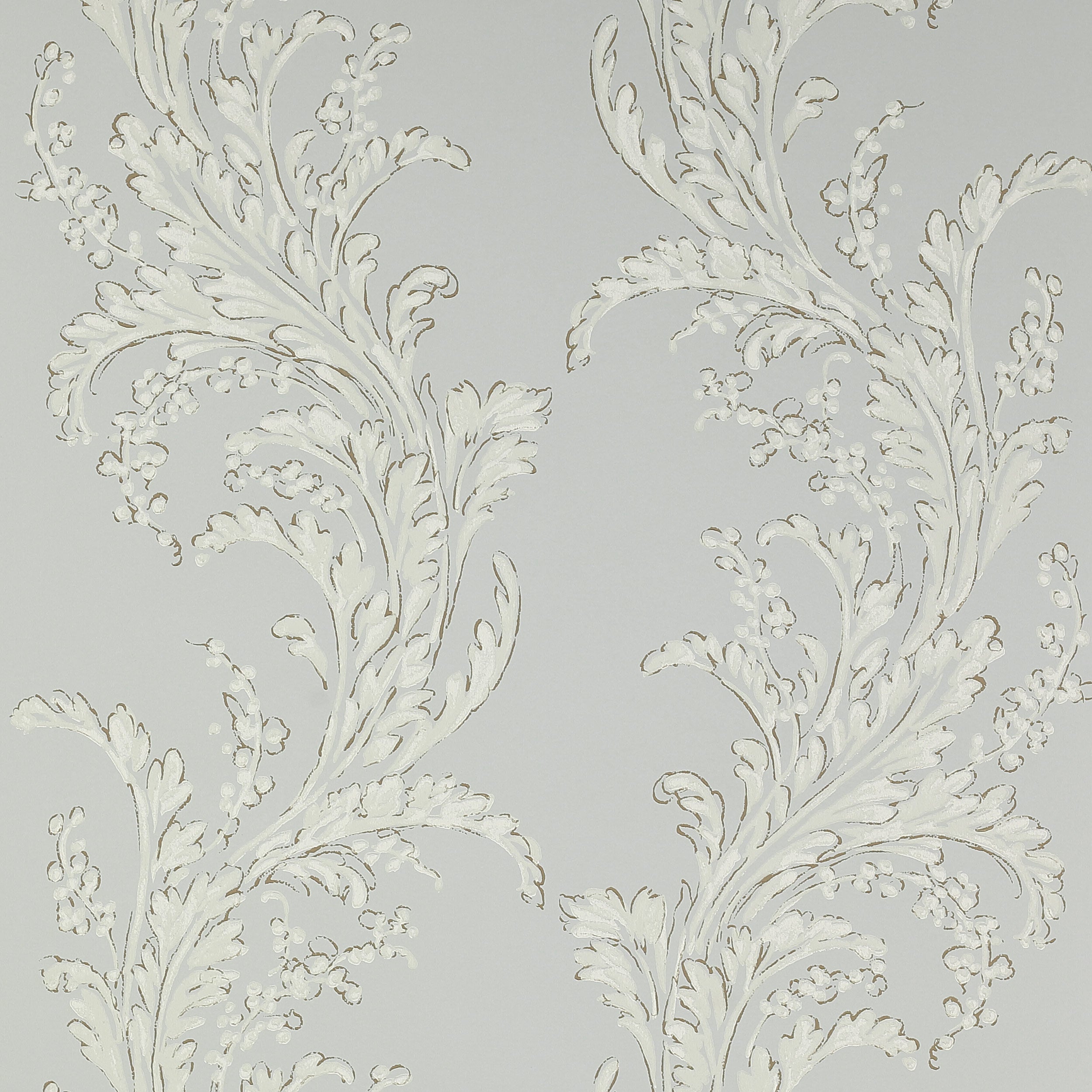 Manuel Canovas - Volanges Glacier