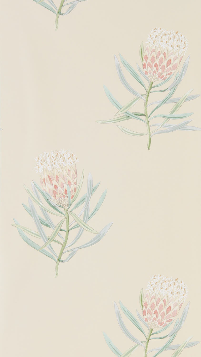 Sanderson - Protea Flower Russet/Green