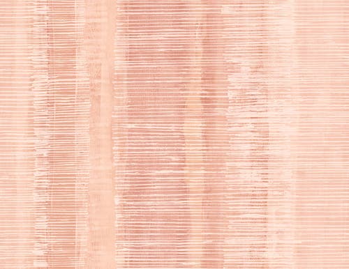 Intrade - Boho Rhapsody