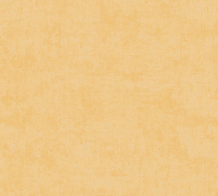 Intrade - Boys & Girls