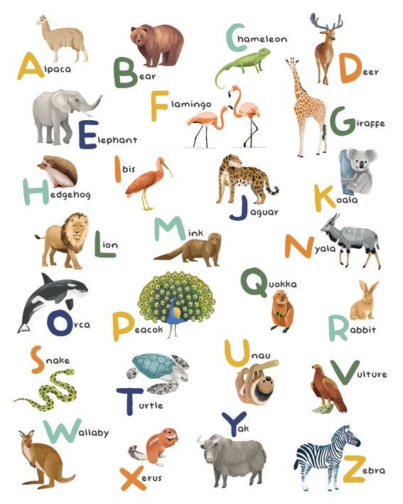 Caselio - Let S Learn The Alphabet Les Mini Mondes