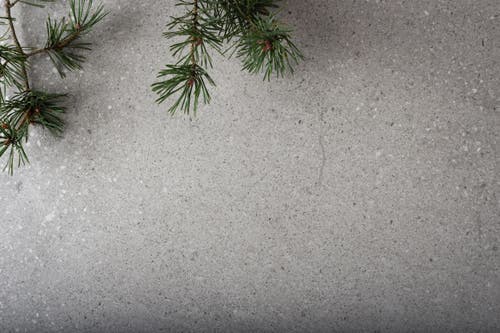 Tundra Silver 60x60 såg