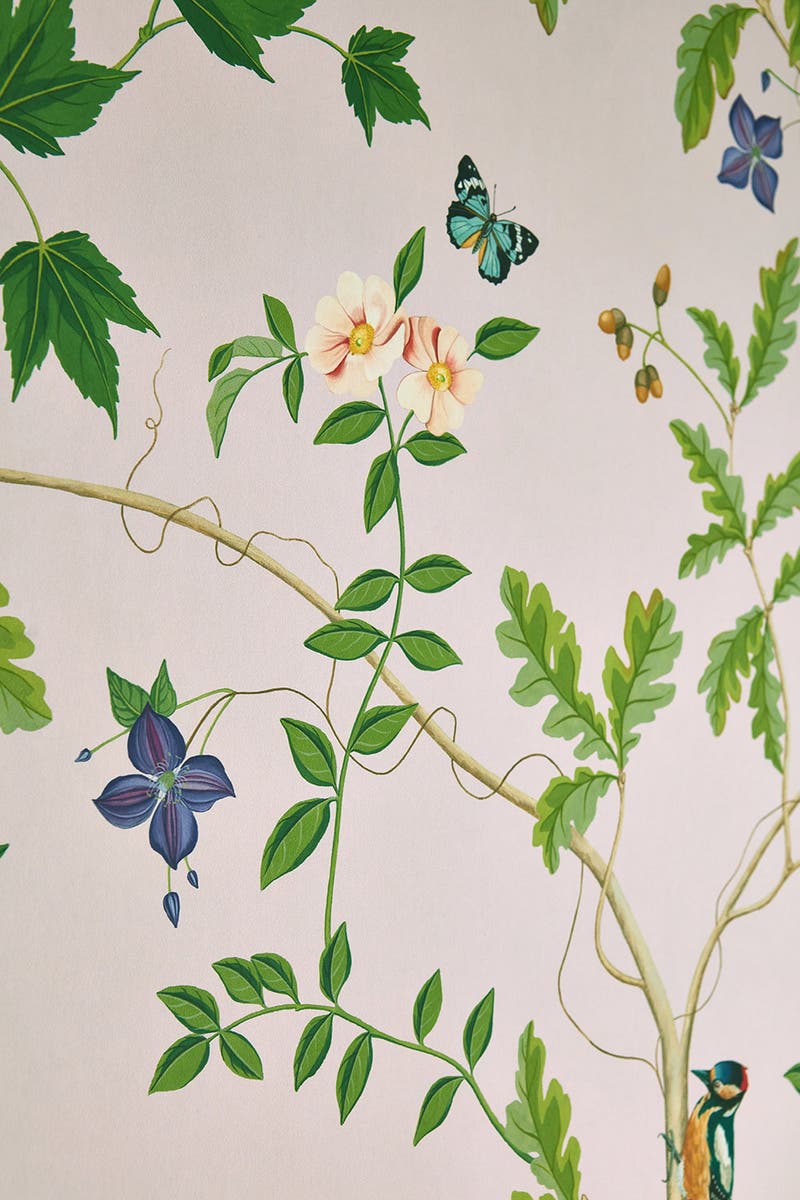 Sanderson - Sycamore and Oak Botanica Arboretum Wallpapers