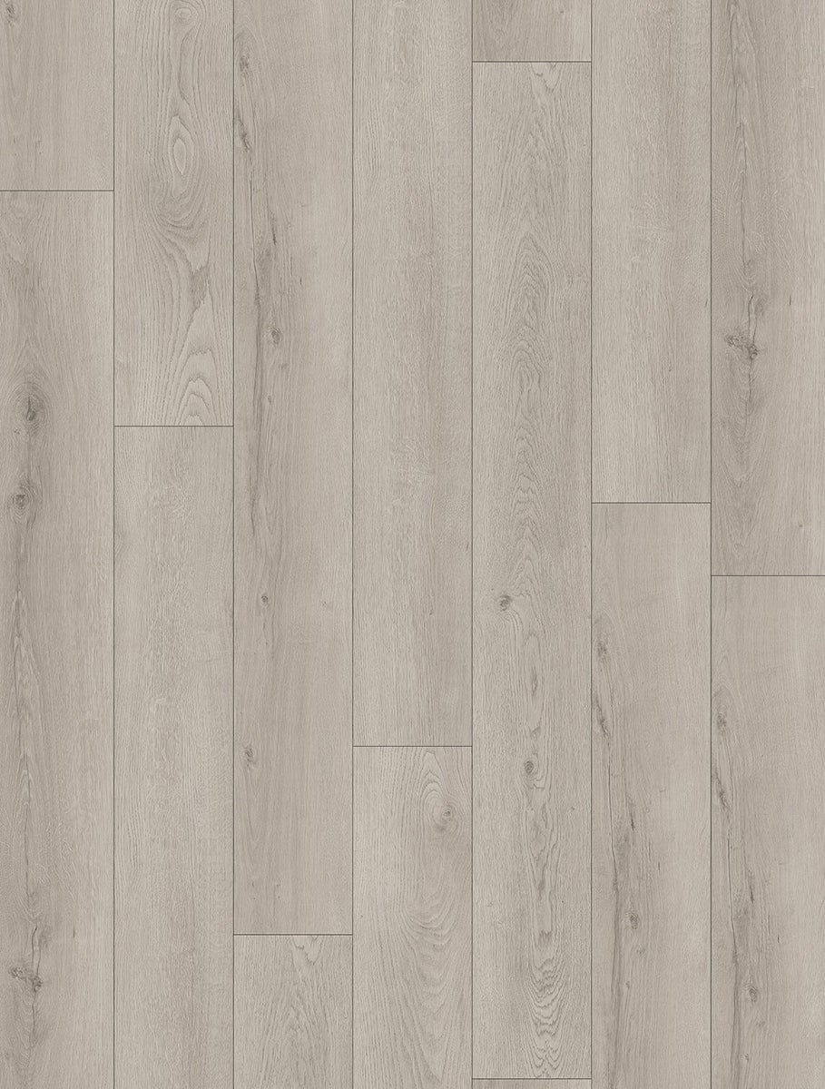 Softstep SYNQ Beluga