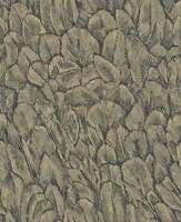 Tranquil Jet NW Aurora