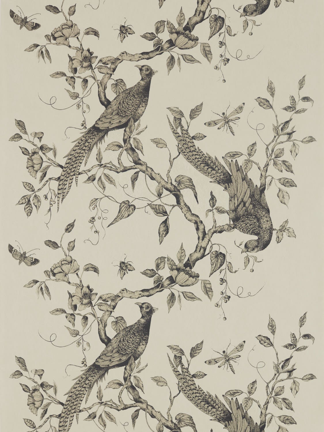 Zoffany - Darnley Dove Darnley Wallpapers