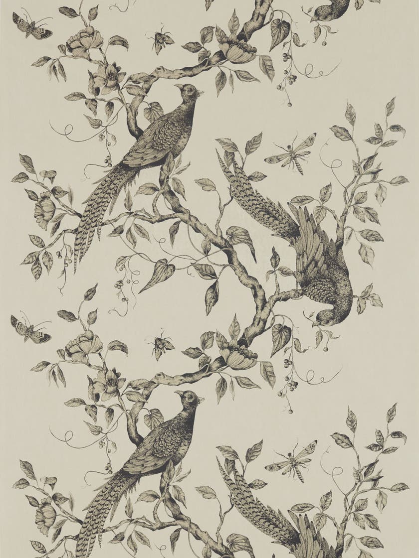 Zoffany - Darnley Dove Darnley Wallpapers