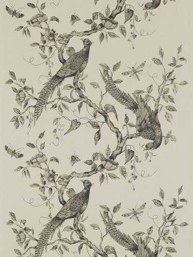 Zoffany - Darnley Dove Darnley Wallpapers