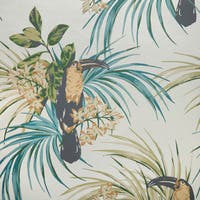 Le Toucan NW Elodie