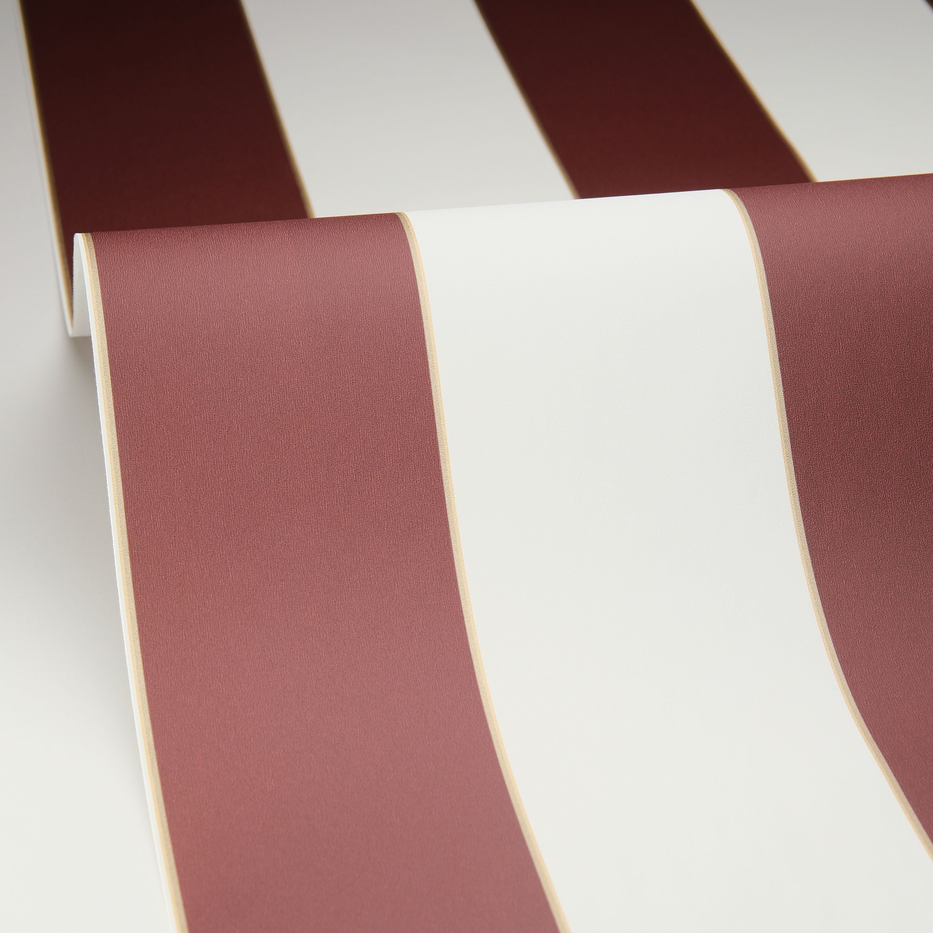 Caselio - Caselio - Golden Lines Violet