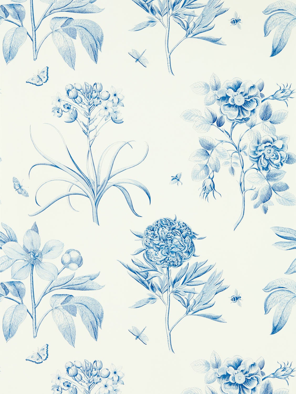 Sanderson - Etchings & Roses China Bl Sanderson One Sixty Wallp