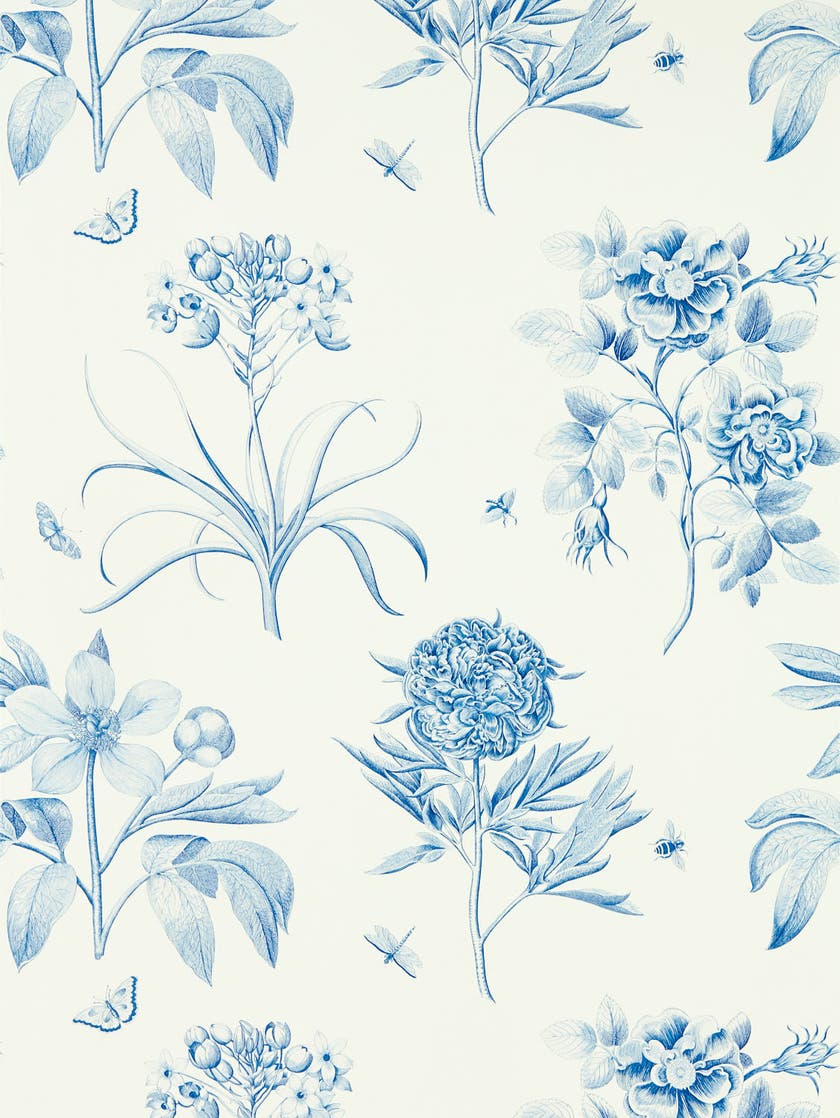 Sanderson - Etchings & Roses China Bl Sanderson One Sixty Wallp