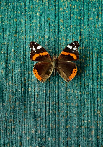 Eijffinger Intrade - Masterpiece