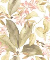 DELICACY BIRDSONG VERT / DELICACY