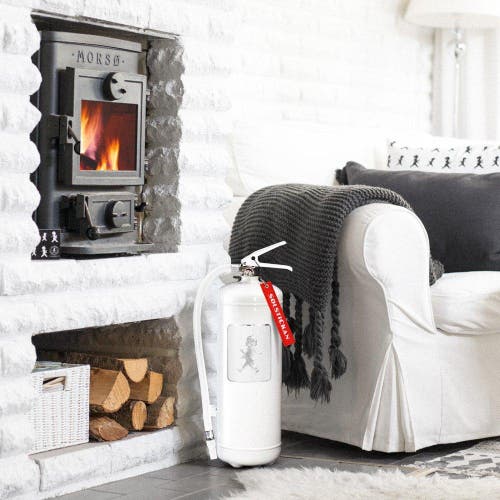 Brandsläckare 6 kg Vit/Silver