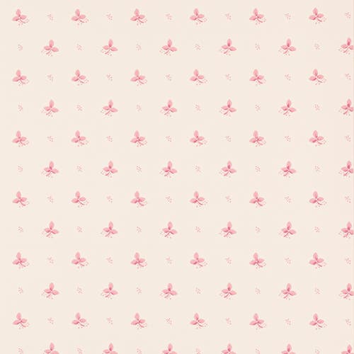 Colefax and Fowler - Ashling Rasp