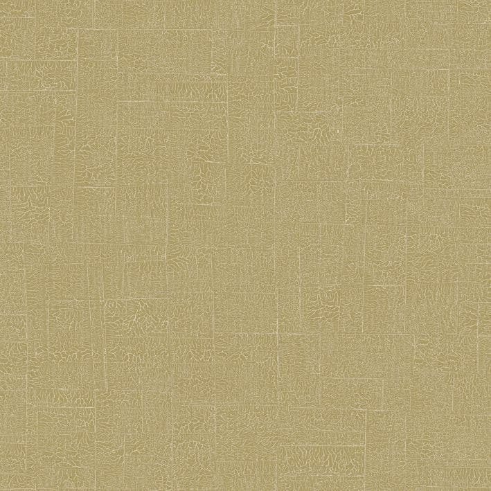 ECUME OLIVE SENTIER DES DUNES