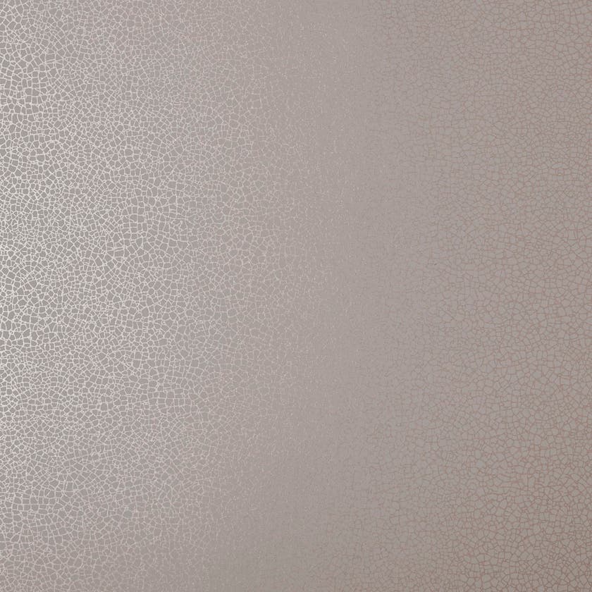 Carma - Emile NW Elodie