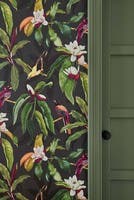 Michelia Empyrea Michelia Charocal