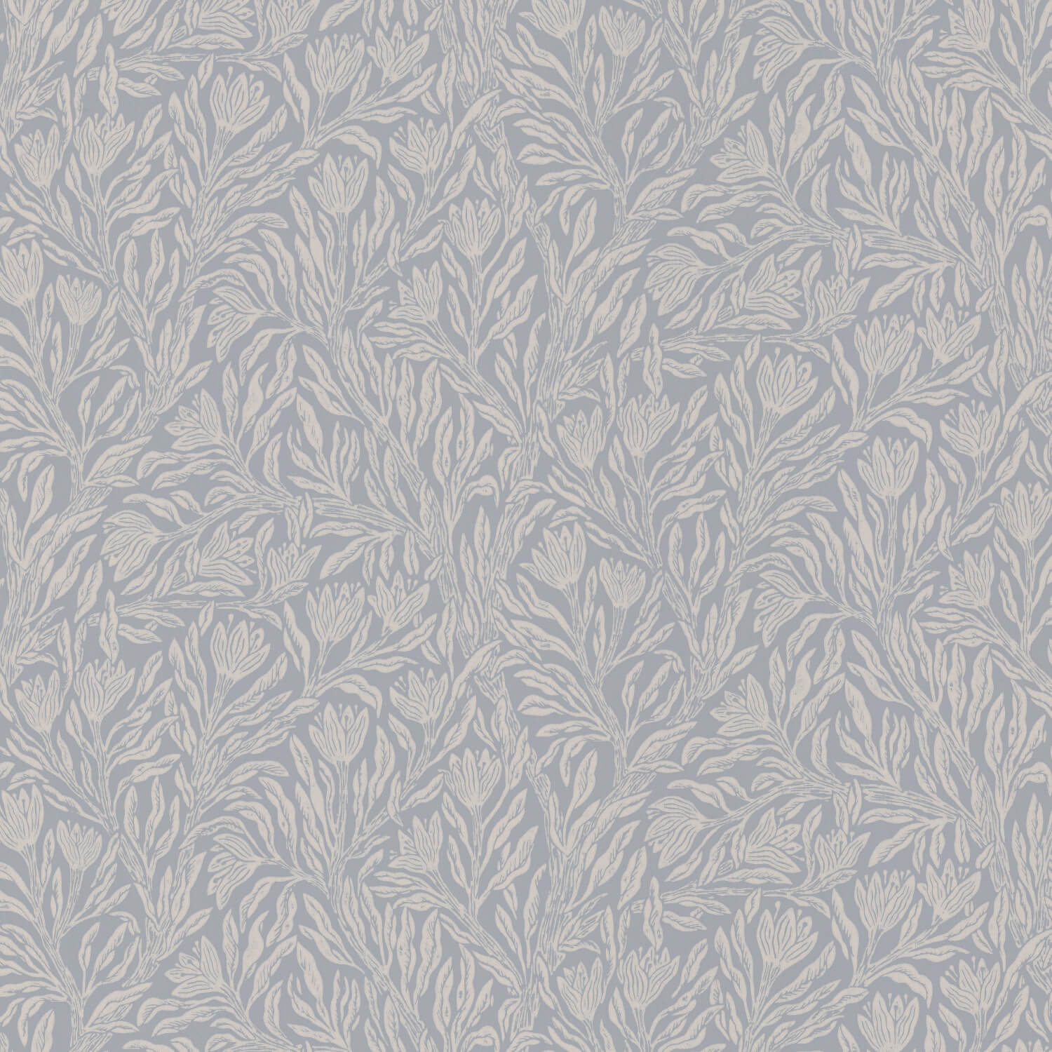 Krokus Smokey Blue Norrviva