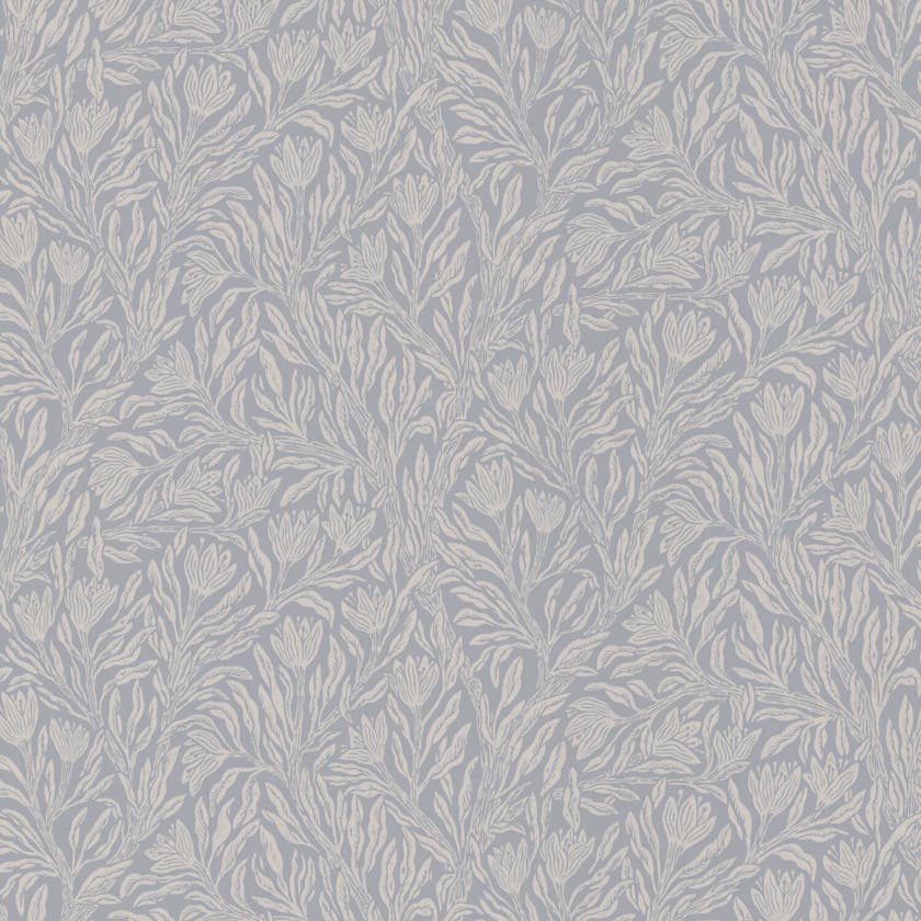 Krokus Smokey Blue Norrviva