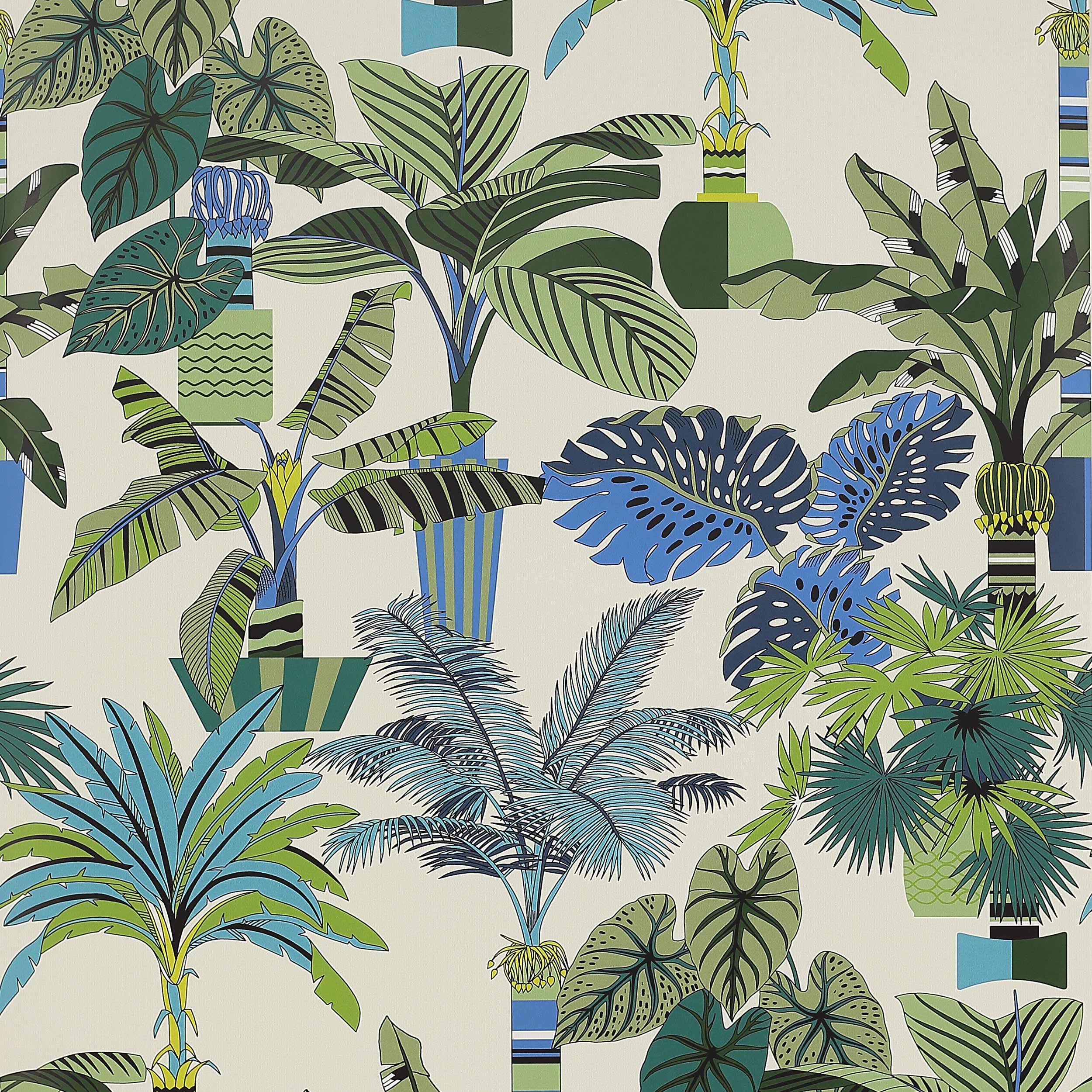 Manuel Canovas - Florida Marine